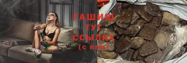 индика Медногорск