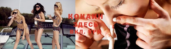 прущие грибы Наволоки