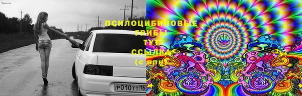 винт Мегион