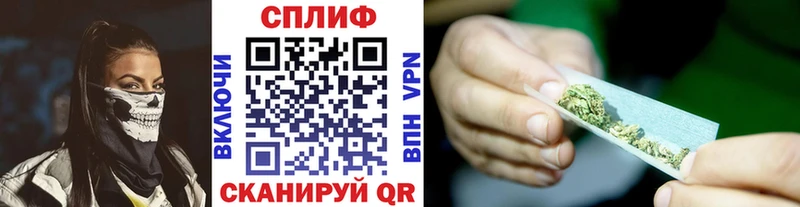 наркотики  маркетплейс Telegram  Бошки Шишки план  Ставрополь 